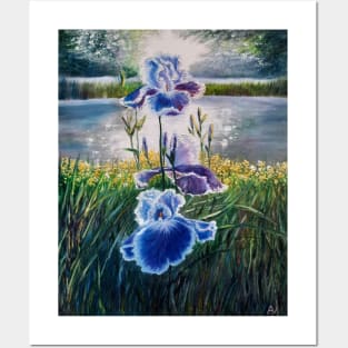 Irises in the rays of sunrise Posters and Art